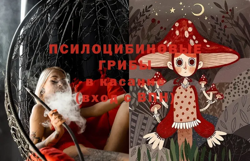 Галлюциногенные грибы Cubensis  Шуя 